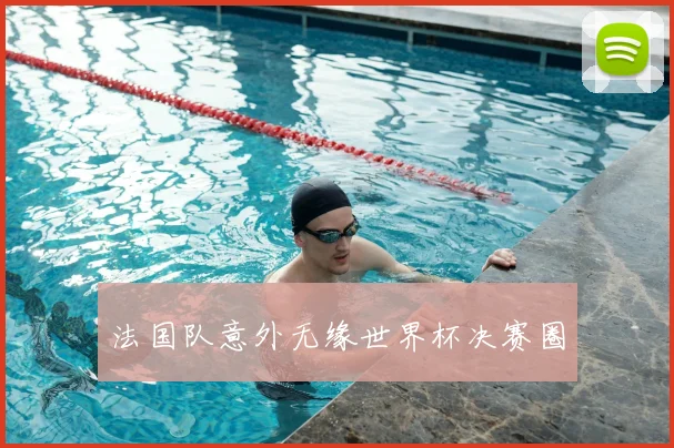 法国队意外无缘世界杯决赛圈