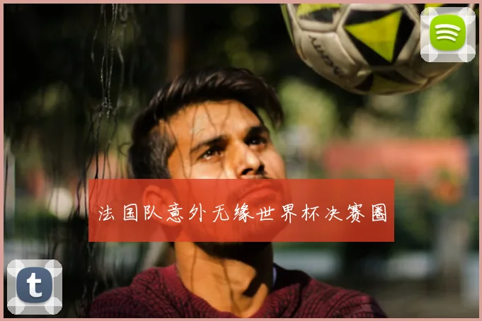 法国队意外无缘世界杯决赛圈